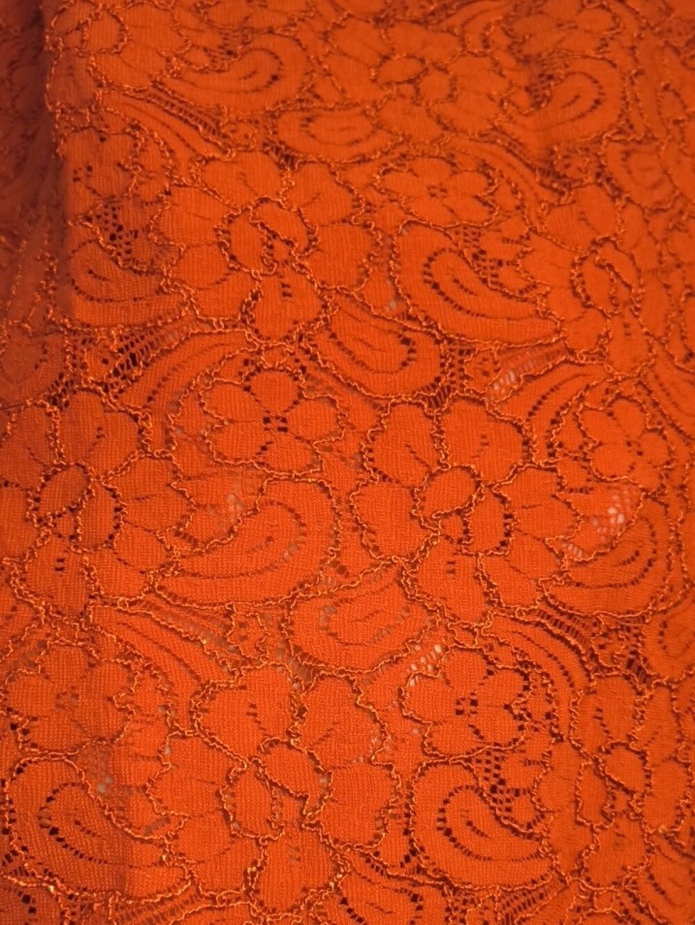 Studio 1940 Vintage Rust Colored Lace Square Neck Tank 18/20W Floral Embroidery - Picture 4 of 6